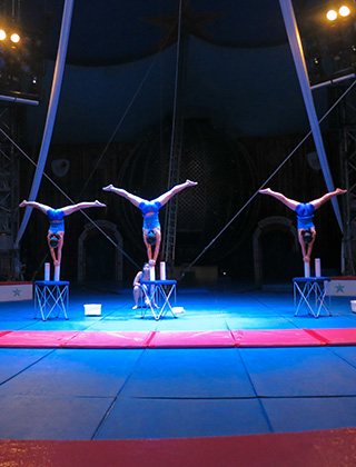 Kinoshita Circus 2017